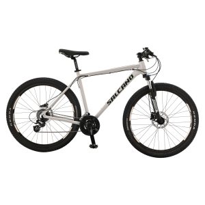 NG TEAM 100 27,5 24 HD