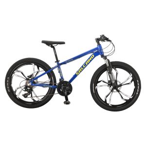 NG TEAM 200 24 21 HD 13 MONO